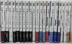 文豪ストレイドッグス 文スト 25冊セット 本編＋外伝＋関連コミック等