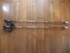 2026年最新】LEKI 素材・特徴：カーボン スキー ストックの人気