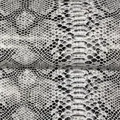 ☆35670 パイソンプリントシープ革 本革(プロフィールをお読み下さい