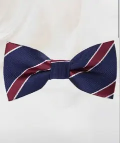 【新品未使用】蝶ネクタイ　入園　入学　結婚式　セレモニーネイビー　幼稚園　小学校