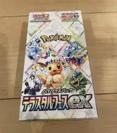 ポケモンカードゲーム テラスタルフェスex 未開封 1box分