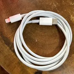USB-C - Lightning ケーブル 本体