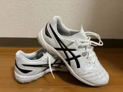 アシックスDSライト トレシュー