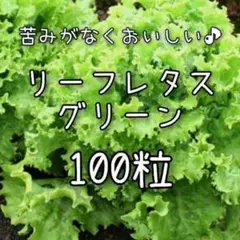 cheeny様 リクエスト 8点 まとめ商品