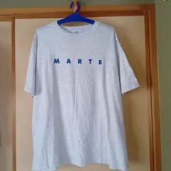 Tシャツ グレー