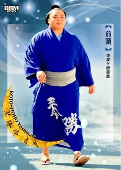 Item thumbnail for item 91f95c7a-a217-462c-b33c-fd0c4da1d7b0