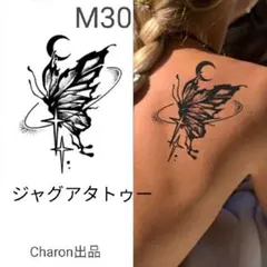 Item thumbnail for item 5f443503-312b-4e54-bd3c-6891de3cd12a