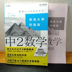 【m-37】最高水準問題集 中2数学