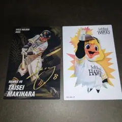 Calbeeプロ野球チップスカード