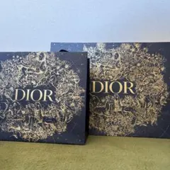 Dior ショッパー 大小 2枚セット ゴールド ホリデー限定 クリスマス