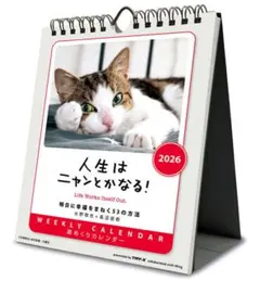 ya様 リクエスト 2点 まとめ商品
