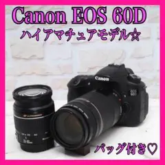 Canon キャノン AE-1 50mm f/1.4 モルト交換済 鳴き無し - メルカリ
