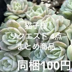 猫子様 リクエスト 4点 まとめ商品