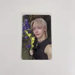 &TEAM BtL トレカ NICHOLAS ニコラス