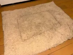 Item thumbnail for item 8812fb8a-8d75-4113-9b3a-e3ad69a7fa60