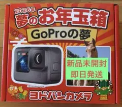 Item thumbnail for item 4d25896c-3593-409e-b1c2-efd65ca8acb1