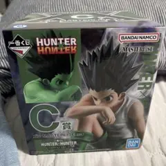HUNTER×HUNTER ゴン MASTERLISE C賞