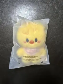 2026年最新】SKZOO 10cm plush ぬいぐるみの人気アイテム - メルカリ