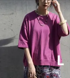 アンティカ タフTバスクTシャツ 半袖 ピンクのサムネイル