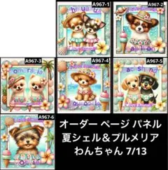 オーダー ページ パネル 夏シェル＆プルメリア わんちゃん 7/13