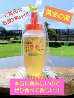 最高受賞歴あり】 群馬県藤岡市産 アカシア蜂蜜 480g3個セット 数量