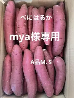 mya様専用　A品M、S 5キロ