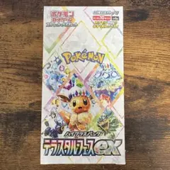2026年最新】テラスタルフェスBOXの人気アイテム - メルカリ