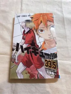 ［84］ハイキュー　ゴミ捨て場の決戦　音駒　烏野　33.5 漫画　特典