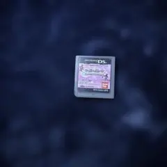 バンダイ ニンテンドーDS ソフト NTM-AG43-JPN