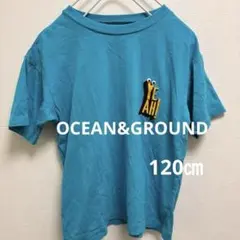 OCEAN&GROUND オーシャングラウンド　青　刺繍めん玉半袖Tシャツ120のサムネイル
