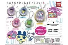 たまともといっしょ！マスコット4 全5種セット
