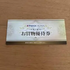 ヤマダ電機　お買い物優待券 6枚