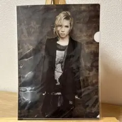 Acid Black Cherry [未開封]クリアファイル13点セット Acid Black Cherry [未開封]クリアファイル13点セット Acid