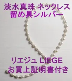 2026年最新】Liege ネックレスの人気アイテム - メルカリ