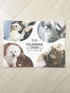 Item thumbnail for item 978c46e5-9efc-49d1-92fd-6fff98b0893f