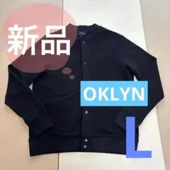 Item thumbnail for item 3d23fc41-d13d-4b70-8f71-b69d1339c5c8