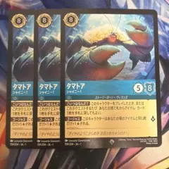 ロルカナ】タマトア アリエル 6枚セット - メルカリ