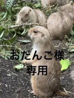 忍ミュ第10弾 ブロマイド＋‪αセット