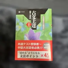 Item thumbnail for item 9560f6e0-face-4bef-94a7-630bf57454dc