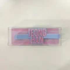 SEVENTEEN ジョンハン ペンライトアクセサリー