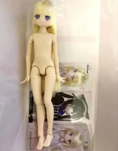 レア アゾンAZONE 1/6「ぴぴ→からっと/れぽちゃん」ヘッドのみ - メルカリ
