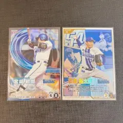 Item thumbnail for item ce8c2118-f760-4505-b907-5243549e0f83