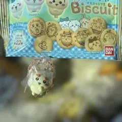 ちいかわ　マスコットつきビスケット　シーサー