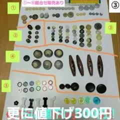 Item thumbnail for item 4cec1609-005c-49e8-bb1e-302af3062650