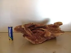 流木　洗浄済み