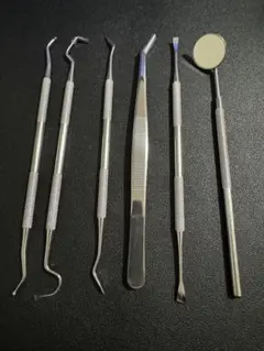 치과 실험실 7 종 세트 치석 제거 치석 스케일러 치과 거울
