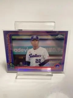 Item thumbnail for item fa013a51-9d46-48c6-b4f0-12916e23a880