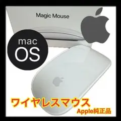 【Apple Magic Mouse2】