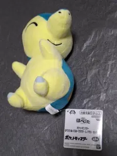 ポケモン　ポケットモンスター　ヒノアラシ　ぬいぐるみ　マスコット　人形　ほぺぴた