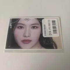 MISAMO オンラインくじ　ステッカー　サナ